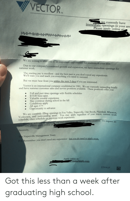 500x775 Voice Vector Tm Urrently Have Immediate Openings In Your Are