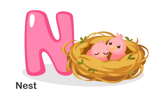 Nest Vectors, Photos And Free Download 626x375 Nest Vectors, Photos And Free Download