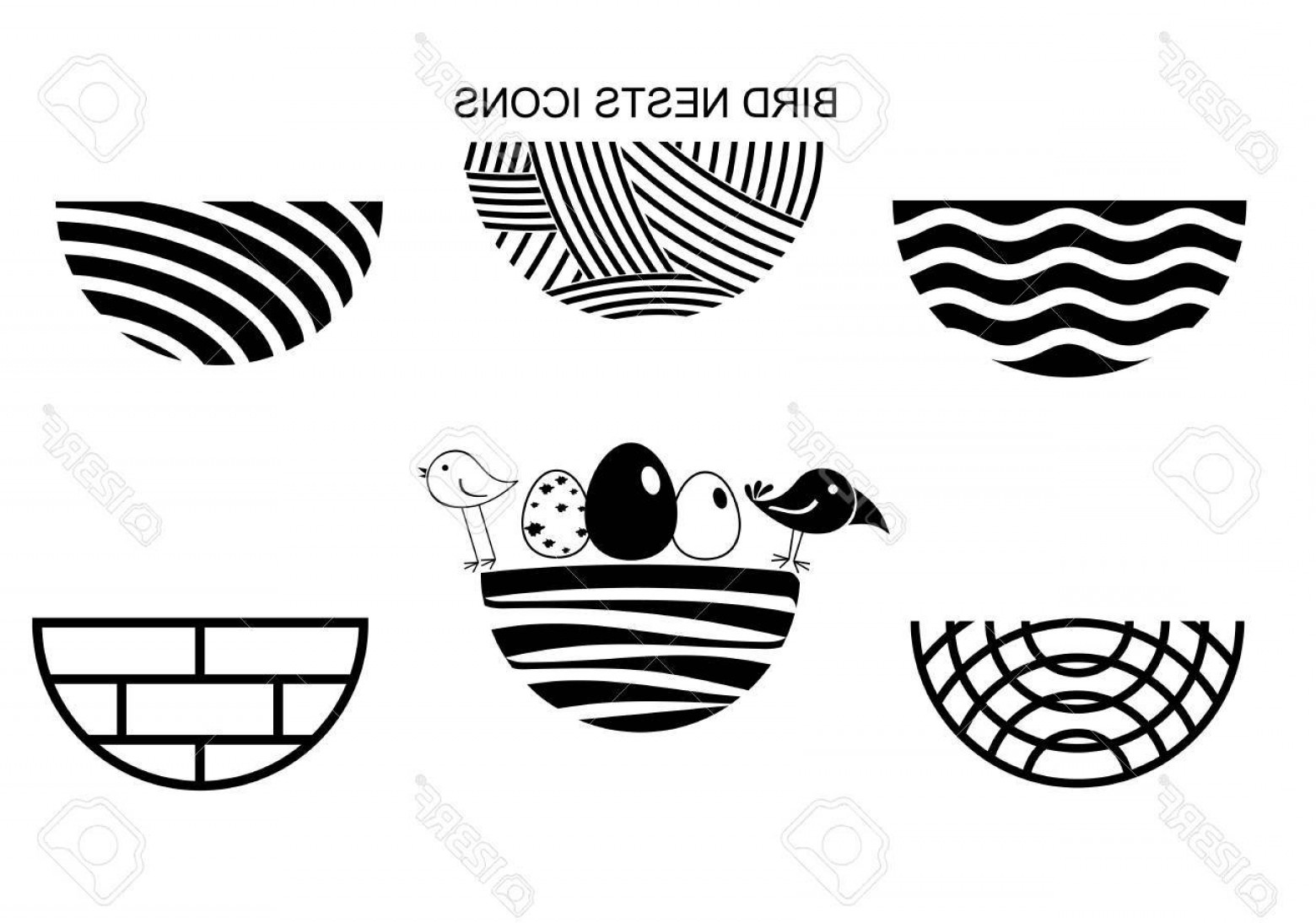 Photostock Vector Set Icons Bird S Nest For A Logo Or Emblem 1560x1094 Photostock Vector Set Icons Bird S Nest For A Logo Or Emblem