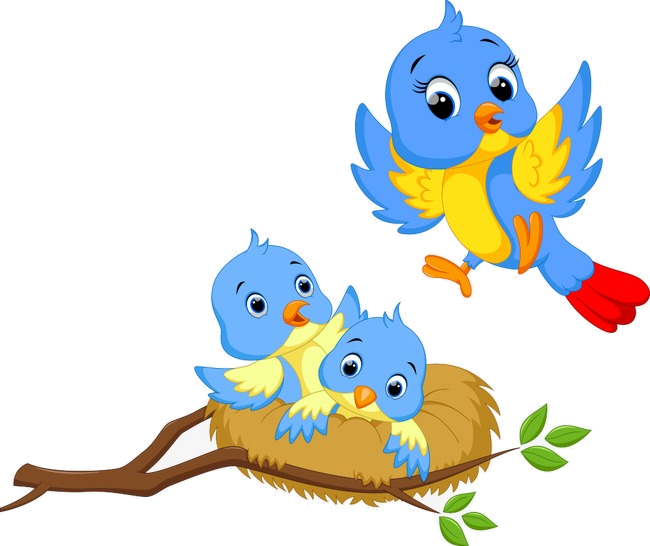 Bird Vector Nest On Clipart Birds And For Transparent Png 650x546 Bird Vector Nest On Clipart Birds And For Transparent Png