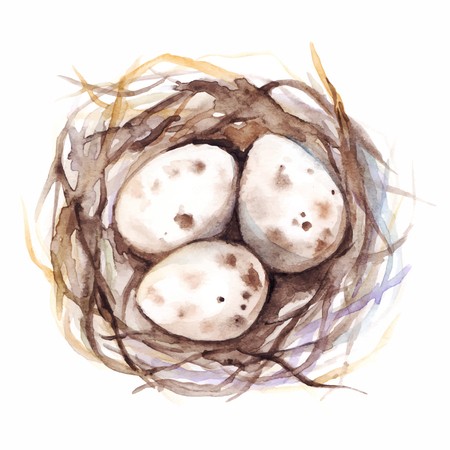 Watercolor Vector Nest With Quail Eggs Isolated Royalty Free 450x450 Watercolor Vector Nest With Quail Eggs Isolated Royalty Free