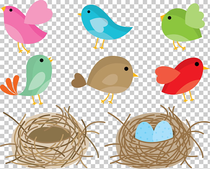 Bird Nest Swallow Bird Nest, Nest Png Clipart Free Cliparts Uihere 728x587 Bird Nest Swallow Bird Nest, Nest Png Clipart Free Cliparts Uihere