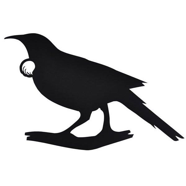 600x600 Image Result For Tui Vector New Zealand Birds Tui Bird, Bird