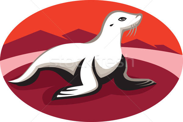 600x400 New Zealand Fur Seal Retro Vector Illustration Aloysius
