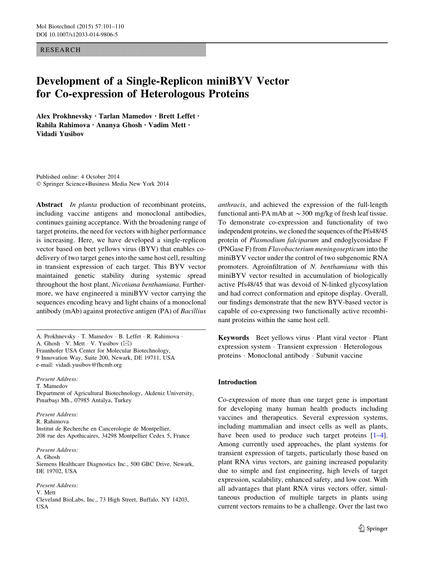 850x1129 Pdf Development Of A Single Replicon Minibyv Vector For Co