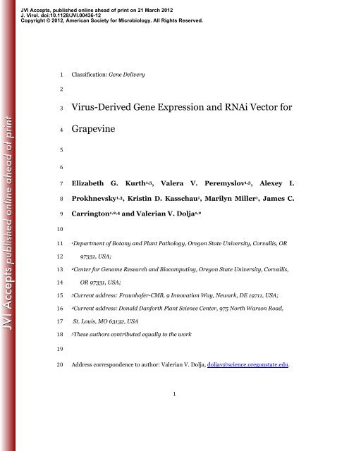 495x640 Virus Derived Gene Expression And Rnai Vector For Grapevine