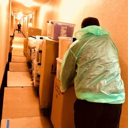 250x250 Vector Movers Nj