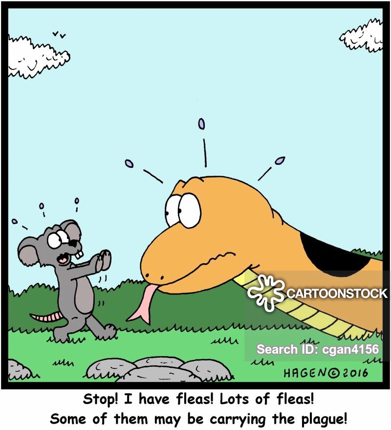 800x879 Plague Vector Cartoons And Comics