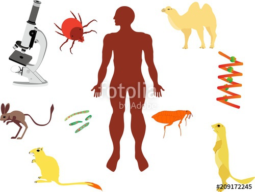 500x378 Concept Illustration Of Plage Infection Human Body Silhouette