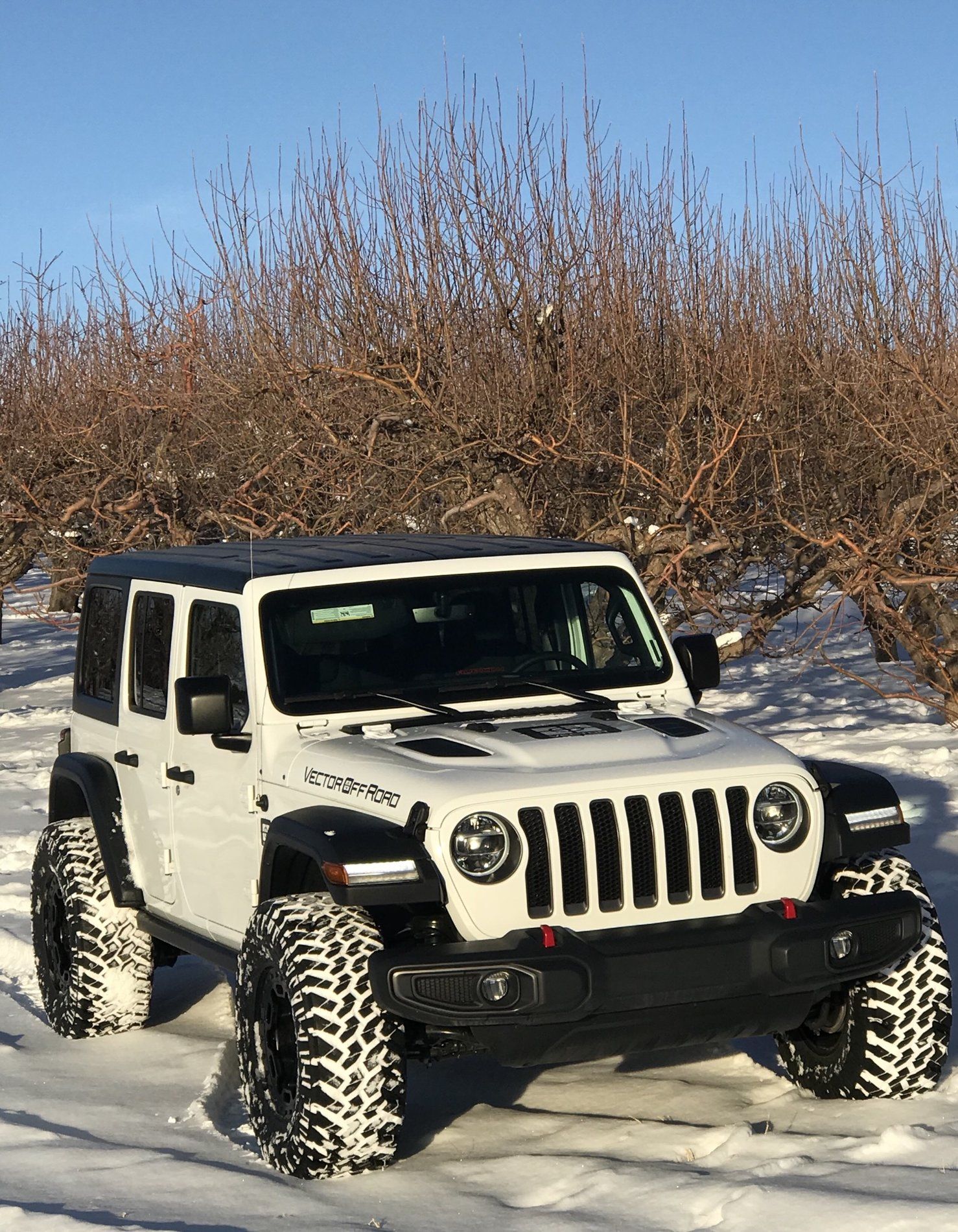 1478x1900 Vector Offroad Jlu Bright White Build