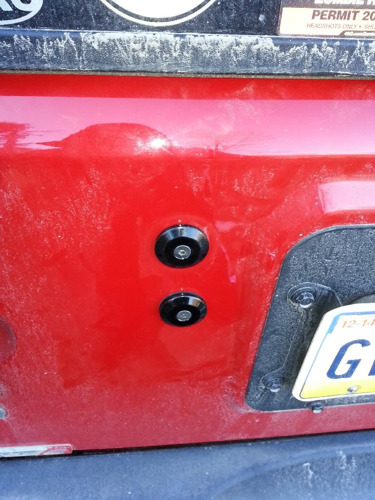 768x1024 The Rebuild