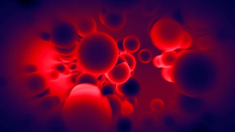 480x270 Vector Oncology Chosen As Actinium's Cro Partner In Phii Cancer