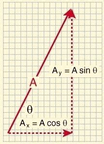 215x298 Vector Parentheses Math Lumaio Club