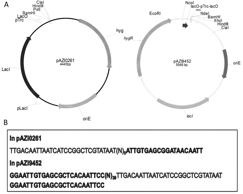 850x680 Iptg Inducible Conditional Expression Vectors With Promoter