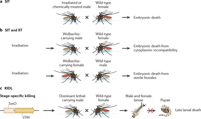 685x407 Controlling Vector Borne Diseases