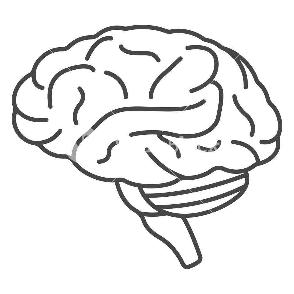 Human Bran Outline Human Brain Vector Icon For Web Design 1000x1000 Human Bran Outline Human Brain Vector Icon For Web Design