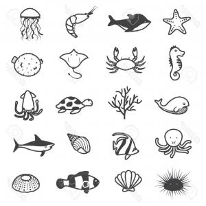 Photostock Vector Black And White Outline Images Of Sea Animals 300x300 Photostock Vector Black And White Outline Images Of Sea Animals
