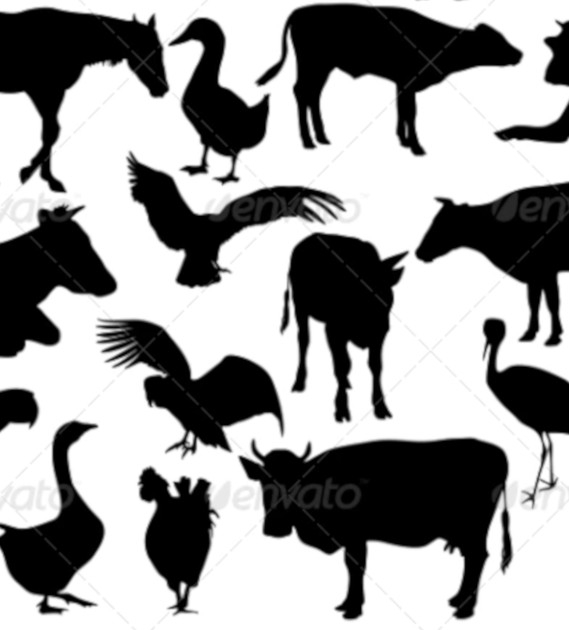 Free Vector Images Vectors Free Premium Templates 569x630 Free Vector Images Vectors Free Premium Templates