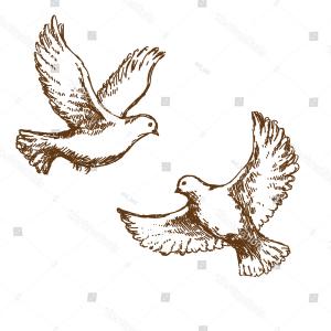 300x300 Pair Flying Doves Vector Sketch Catchsplace