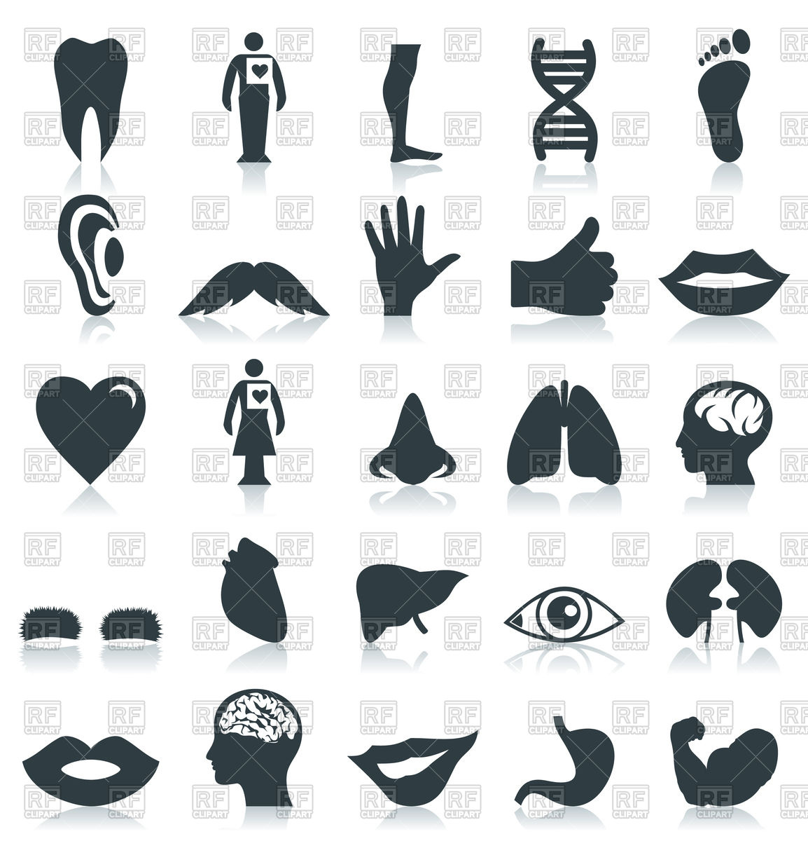 1154x1200 Set Of Body Parts Icons Vector Image Of Healthcare, Medical