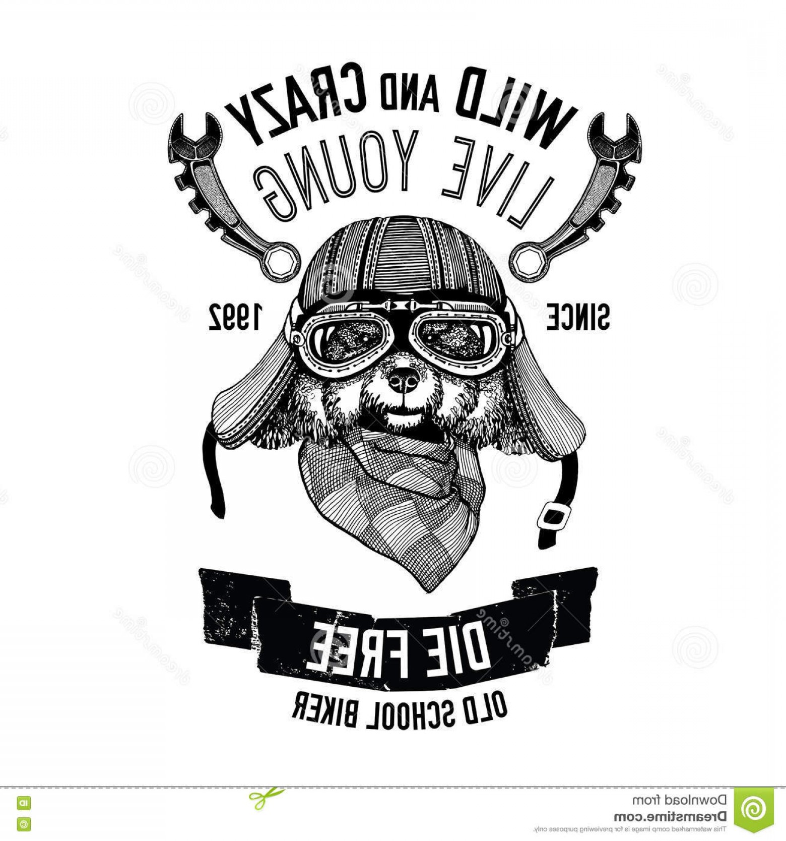 1560x1668 Vespa Parts Vector Lamaison