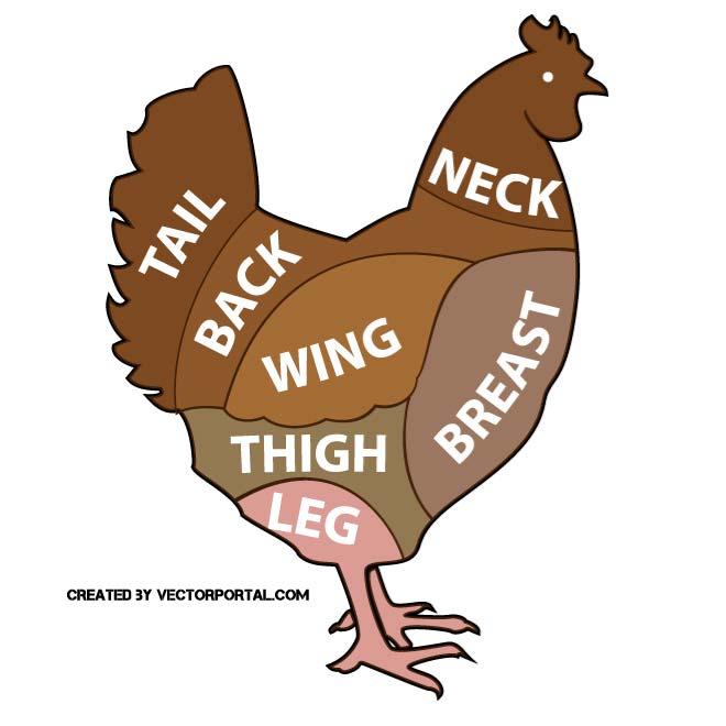 660x660 Chicken Parts Vector Image
