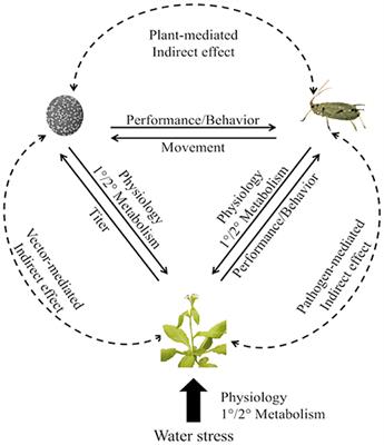 Frontiers Plant Vector Pathogen Interactions In The Context 345x400 Frontiers Plant Vector Pathogen Interactions In The Context