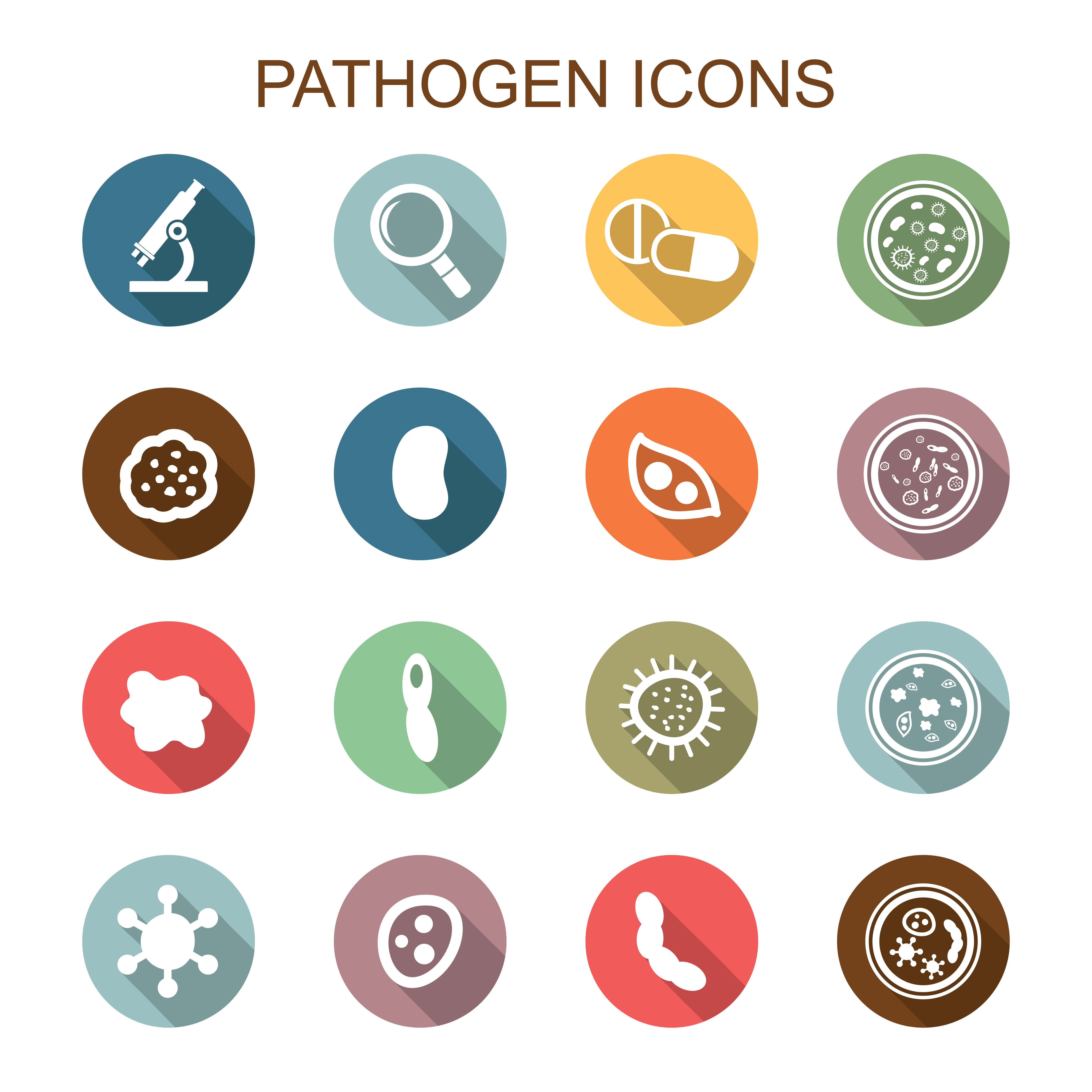 Vector Pathogen at Vectorified.com | Collection of Vector Pathogen free ...