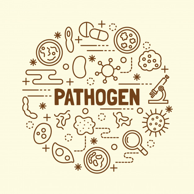 Pathogen Minimal Thin Line Icons Set Vector Premium Download 626x626 Pathogen Minimal Thin Line Icons Set Vector Premium Download