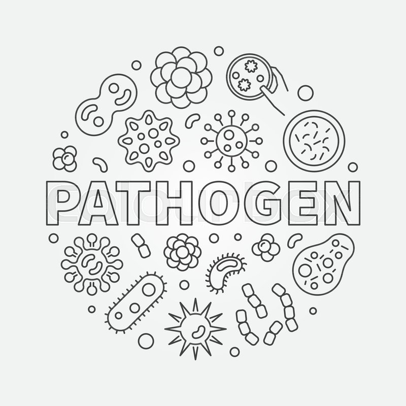 Pathogen Round Illustration Vector Stock Vector Colourbox 800x800 Pathogen Round Illustration Vector Stock Vector Colourbox