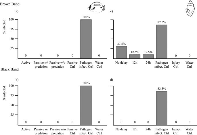 Predation Scars May Influence Host Susceptibility To Pathogens 685x471 Predation Scars May Influence Host Susceptibility To Pathogens