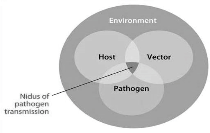 Workshop Overview Global Health Impacts Of Vector Borne Diseases 690x438 Workshop Overview Global Health Impacts Of Vector Borne Diseases