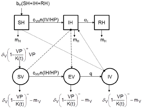 Conceptual Model Of The Spread Of A Vector Borne Pathogen During 476x363 Conceptual Model Of The Spread Of A Vector Borne Pathogen During