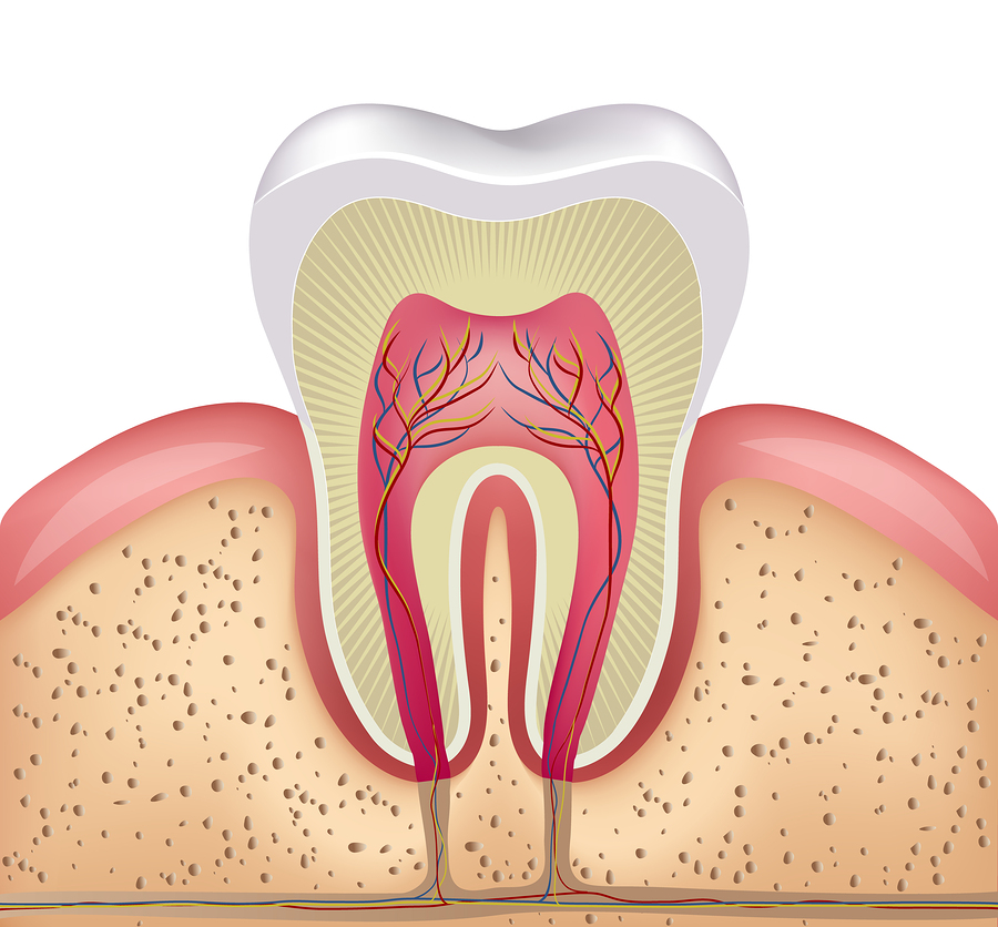 900x836 Don't Believe These Root Canal Myths