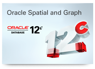 308x223 Oracle Database Spatial Vector Performance Acceleration