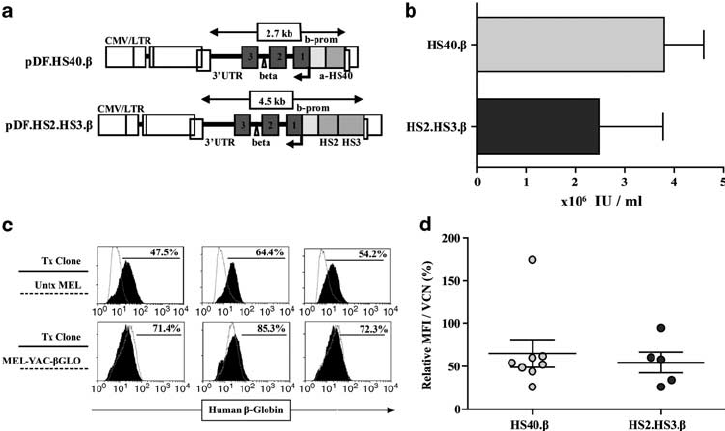 725x431 Fv Vector Performance In Mel Clones