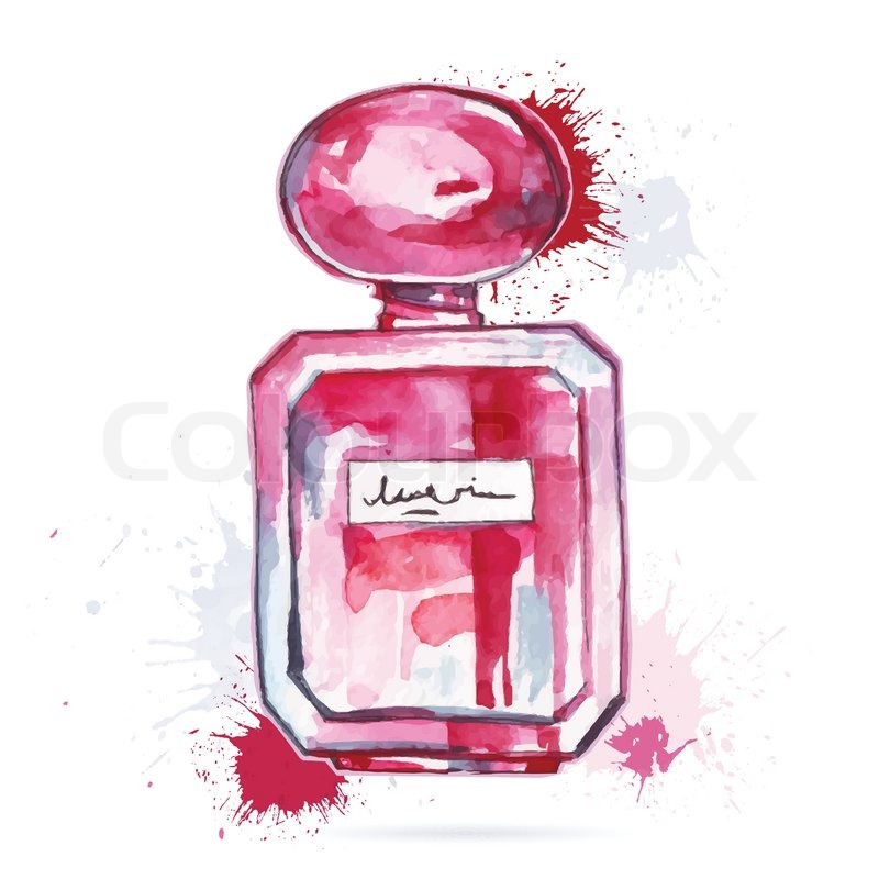 800x800 Beautiful Perfume Bottle Hand Drawn Stock Vector Colourbox