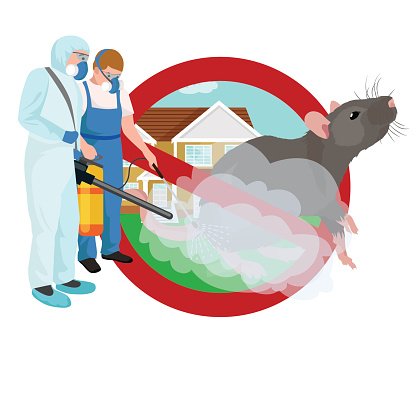 Pest Control Concept With Insects Exterminator Silhouette Flat 416x416 Pest Control Concept With Insects Exterminator Silhouette Flat