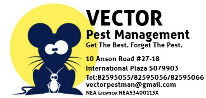 Pest Control Services Chinatown Tanjong Pagar Gumtree 800x381 Pest Control Services Chinatown Tanjong Pagar Gumtree