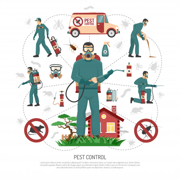 Pest Control Services Flat Infographic Poster Vector Free Download 626x626 Pest Control Services Flat Infographic Poster Vector Free Download
