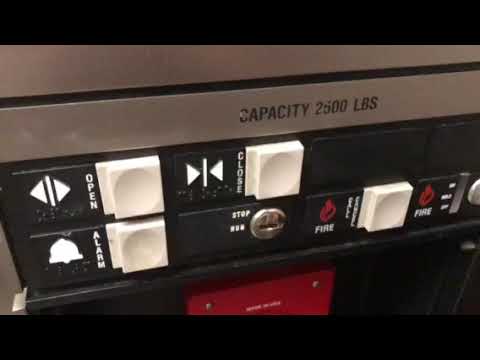 480x360 My First Montgomery Vector