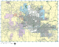 200x161 Phoenix Digital Vector Maps
