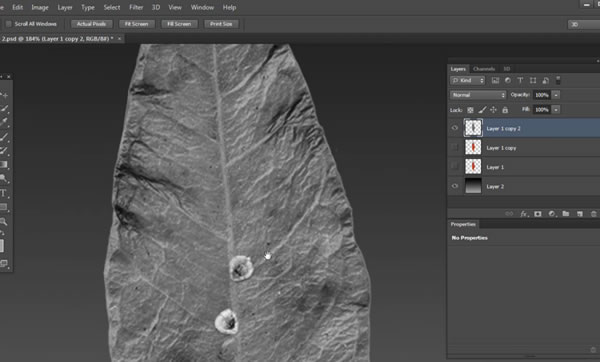 600x362 From Vector Shapes In Photoshop Extended Best Web Design