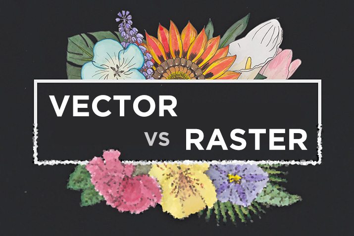 715x477 Vector Vs Raster What Do I Use Design Shack