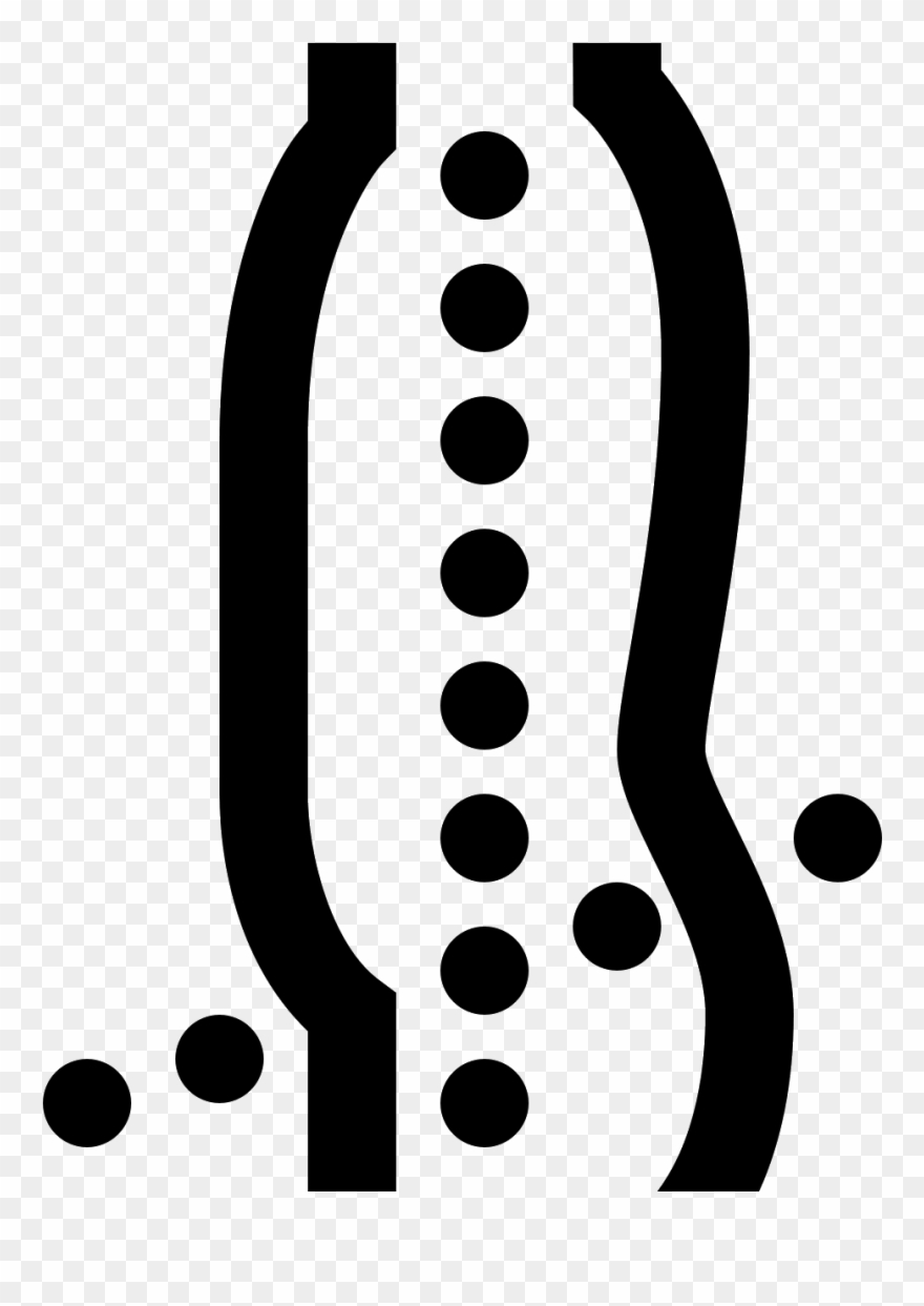 880x1243 Vector Spine Posture