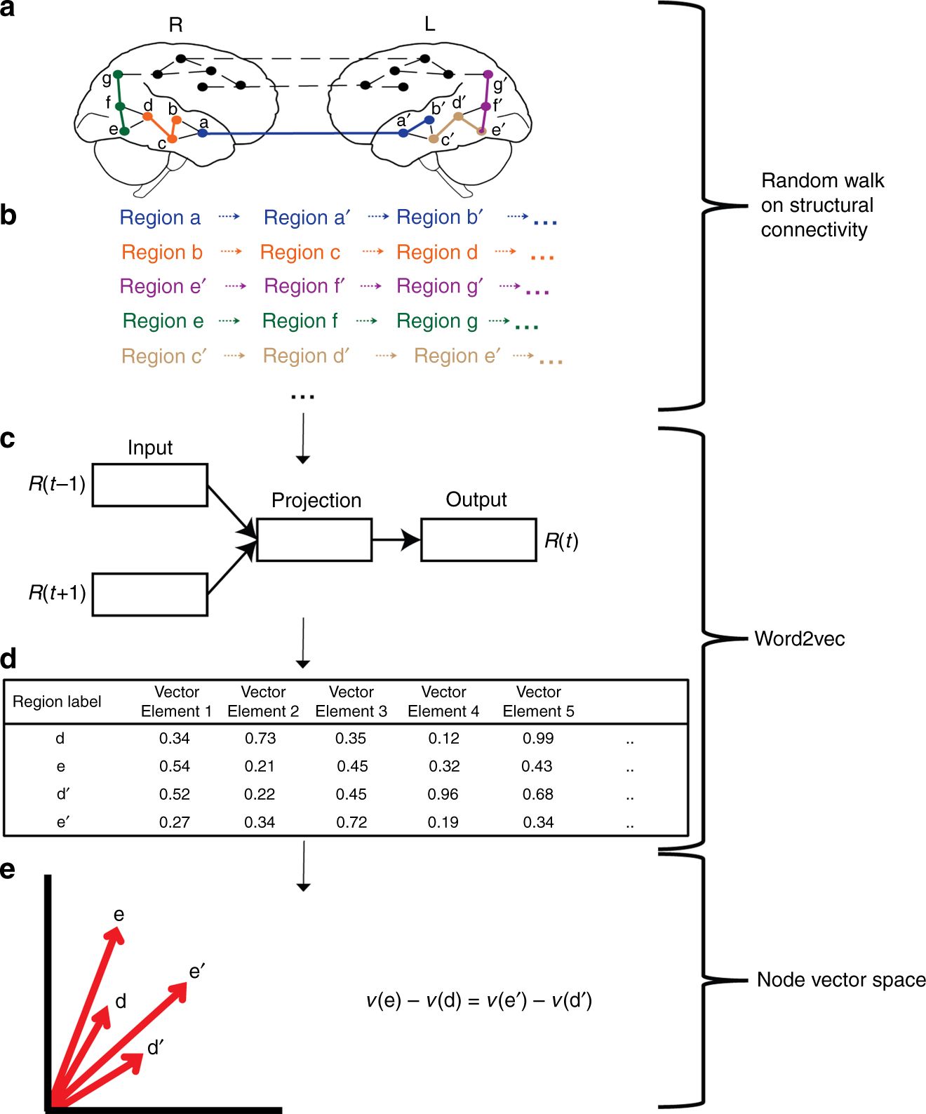 Mapping Higher Order Relations Between Brain Structure 1320x1588 Mapping Higher Order Relations Between Brain Structure