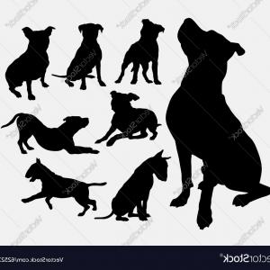 300x300 Pitbull Dog Sketch On White Gm Handandbeak