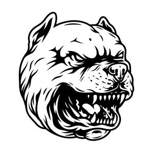 300x300 Angry Pitbull Head Black And White Vector Handandbeak