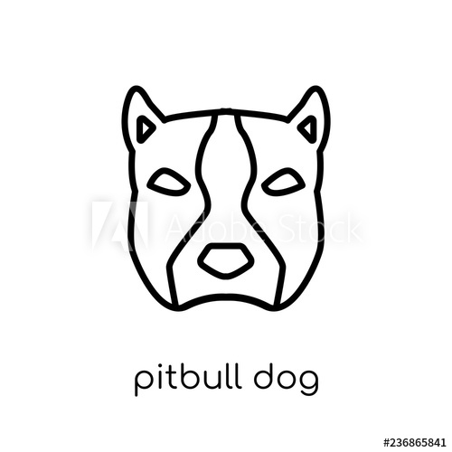 500x500 Pitbull Dog Icon Trendy Modern Flat Linear Vector Pitbull Dog