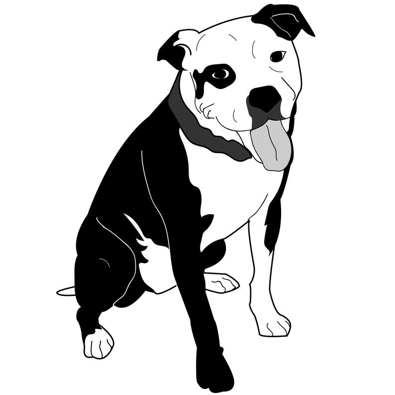 794x794 Sitting American Staffordshire Terrier Vector Pitbull Dog Etsy